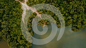 Aerial drone view of forest and lake scenery at Tasik Biru Chinchin, Jasin, Melaka, Malaysia