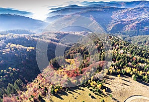 Aerial drone view, forest road leading trough beautiful deciduous and pine woods