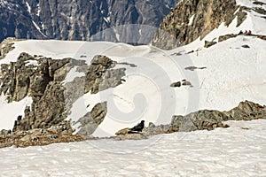 Aerial drone view of French Alps Mountains glacier near Grenoble. Europe alps in winter. Les deux alpes resort. Winter mountains