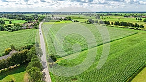 Aerial drone view of green fields and farm houses near canal, typical Dutch landscape, Holland, Netherlands