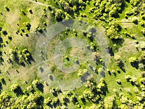 Aerial drone view. Green meadows with trees. Sunny summer day