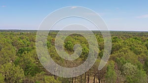 Aerial Drone view of green oak forest. Natural landscape of beautiful green environment