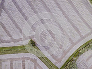 Aerial Drone View Of Harvested Farm Near Box Hill. Stripy, with grass and trees.