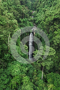 Aerial drone view hidden waterfall in jungle rainforest. Wild untouched nature