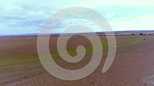 Aerial drone view of lonely country road. Green fields panning top view