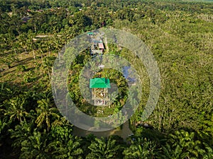 Aerial drone view of a lookout tower with green roof at a farmland in Jasin, Melaka, Malaysia