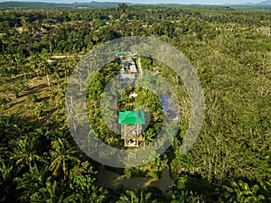 Aerial drone view of a lookout tower with green roof at a farmland in Jasin, Melaka, Malaysia