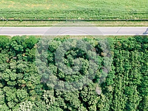 Aerial Drone View Of Moving Cars On Country Road With Forest And Agriculture Crop Field
