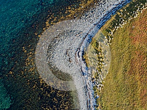 Aerial drone view of nature coastline with herd of goats