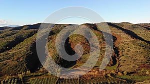 Aerial drone view of an olive trees for the production of olive oil near Antequera, Andalusia, south Spain. Olive tree