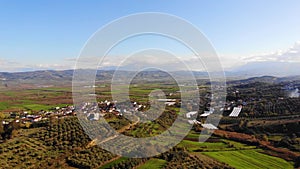 Aerial drone view of an olive trees for the production of olive oil near Antequera, Andalusia, south Spain. Olive tree