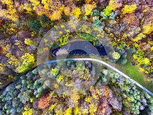 Aerial drone view over beautiful autumn forest landscape. Colourful trees in the wood