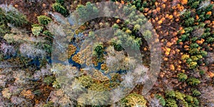 Aerial drone view over beautiful autumn forest and swamp landscape