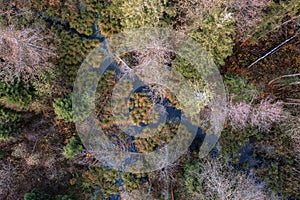 Aerial drone view over beautiful autumn forest and swamp landscape.