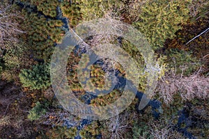 Aerial drone view over beautiful autumn forest and swamp landscape. Colourful trees in the wood.