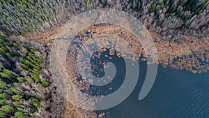 Aerial drone view over beautiful autumn forest and swamp landscape. Colourful trees in the wood.