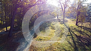 Aerial drone view over dirt path, meadow with grass, trees with yellow leaves