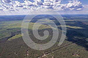 Aerial drone view over forest in Rivne region, Ukraine