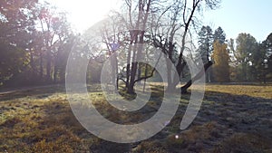 Aerial drone view over a meadow with grass with hoarfrost on a sunny autumn