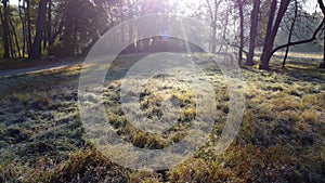 Aerial drone view over a meadow with grass with hoarfrost on a sunny autumn