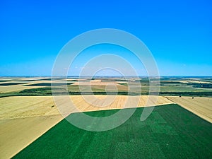 Aerial drone view over a road and corn and wheat field in Timis Romania