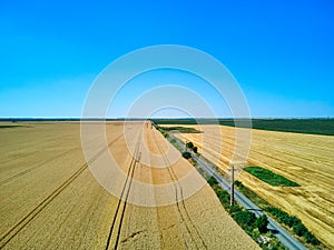 Aerial drone view over a road and wheat field in Timis Romania