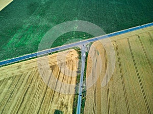 Aerial drone view over a road and wheat field in Timis Romania