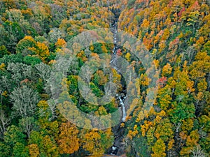 Aerial Drone view of overhead colorful fall / autumn leaf foliage near Asheville, North Carolina.Vibrant red, yellow, teal, orange