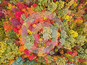 Aerial Drone view of overhead colorful fall / autumn leaf foliage near Asheville, North Carolina.Vibrant red, yellow, teal, orange