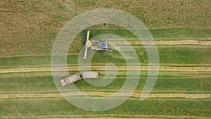 Aerial drone view. Overloading grain from combine harvesters into grain truck in field. Agriculture, harvesting season.
