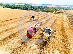 Aerial drone view. Overloading grain from combine harvesters into grain truck in field. Harvester unloder pouring