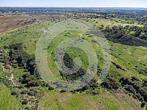 Aerial drone view of the pastures of the province of Huelva, in the village of Beas, with cork oaks and green meadows