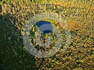 Aerial drone view of pond in a forested wilderness in Upstate New York