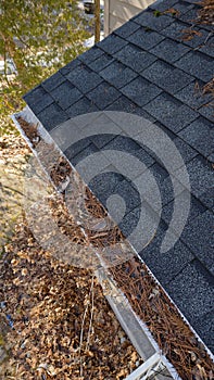 Aerial drone view of residential rain gutter eavestrough filled with pine needles and tree debris