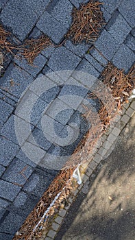 Aerial drone view of residential rain gutter eavestrough filled with pine needles and tree debris