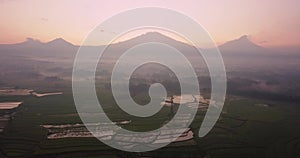 aerial drone view of rice fields in the morning with the background of Mountain