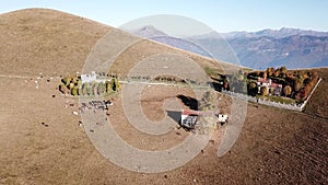 Aerial drone view of the Sanctuary on Linzone mountain, province of Bergamo. Cows are grazing near the church