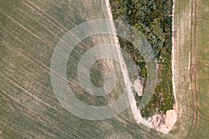 Aerial drone view of small copse on green field