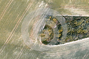 Aerial drone view of small copse on a green field