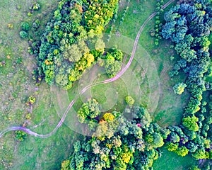 Aerial drone view of some trees and a winding road