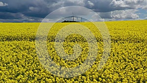 Aerial drone view summer landscape cloudy sky, rapeseed fields, windmills in German countryside.