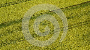 Aerial drone view summer landscape cloudy sky, rapeseed fields, windmills in German countryside.