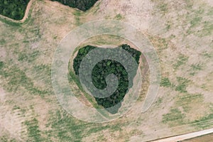 Aerial drone view to copse of love in heart shape . Heart of Earth. Earth day.