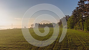 Aerial drone view to long paths between huge fields at sunny morning.