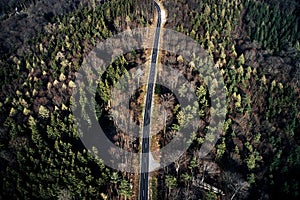 Aerial drone view of trees in autumn. Street crossing the forest with long evening sun shadows. Beautiful top view