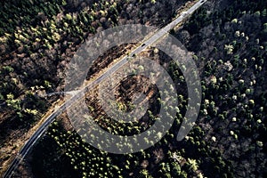 Aerial drone view of trees in autumn. Street crossing the forest with long evening sun shadows. Beautiful top view