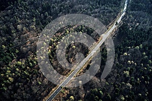 Aerial drone view of trees in autumn. Street crossing the forest with long evening sun shadows. Beautiful top view