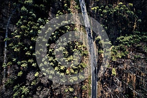 Aerial drone view of trees in autumn. Street crossing the forest with long evening sun shadows. Beautiful top view