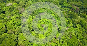 Aerial drone view of tropical rainforest