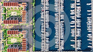 Aerial drone view of typical modern Dutch houses and marina in harbor, architecture of port of Volendam town, Holland, Netherlands photo
